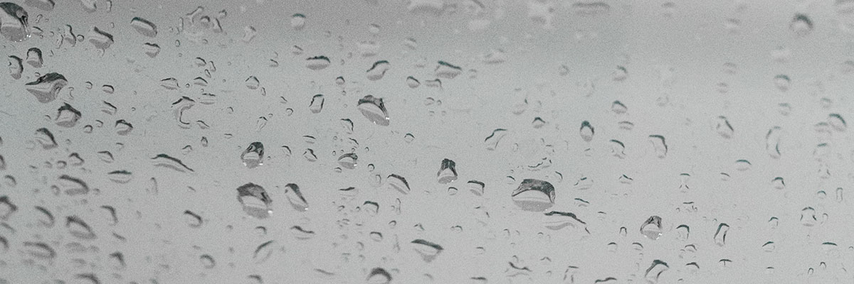 Moisture Management | Cresthaven Ltd